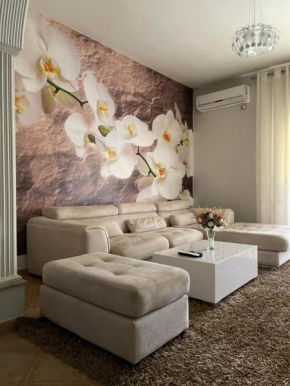 SunKissed Centre Apartment